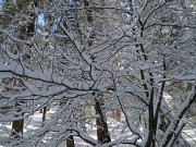 Christmas2010 228